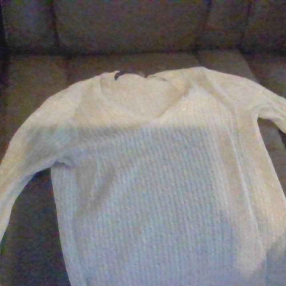 a sweatshirt